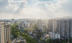 view-city-with-buildings-trees (1) (1)